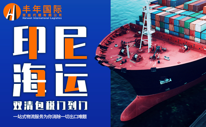 印尼海运双清包税门到门-丰年国际物流 印尼海运双清包税门到门-丰年国际物流