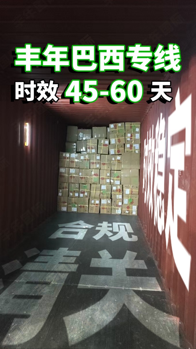 巴西专线：健身器材海运双清到门报价透明全程无忧-广东丰年国际物流