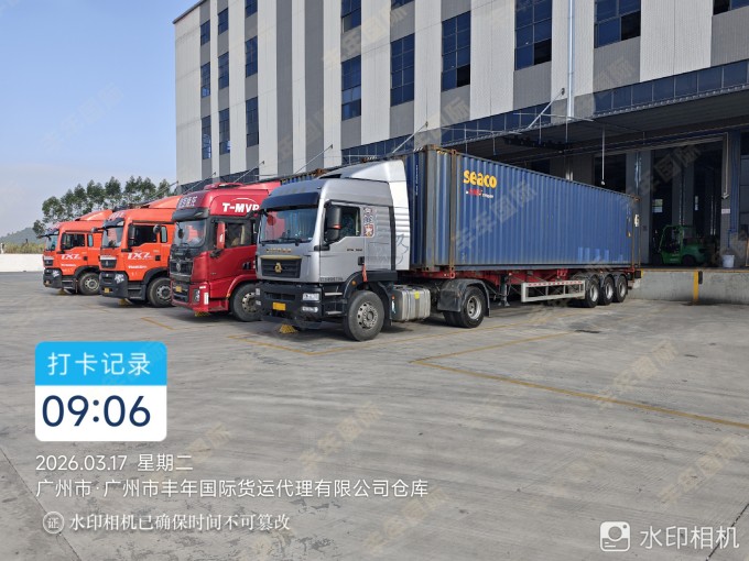 巴西专线：健身器材海运双清到门报价透明全程无忧-广东丰年国际物流