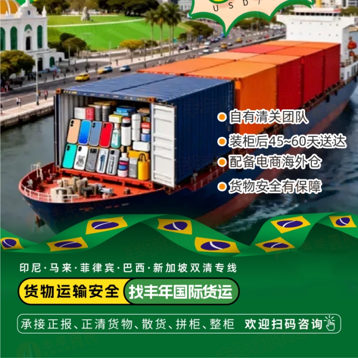 中国到巴西海运双清到门货代专线，磁吸玩具海运到巴西圣保罗拼箱双清物流-广东丰年国际物流