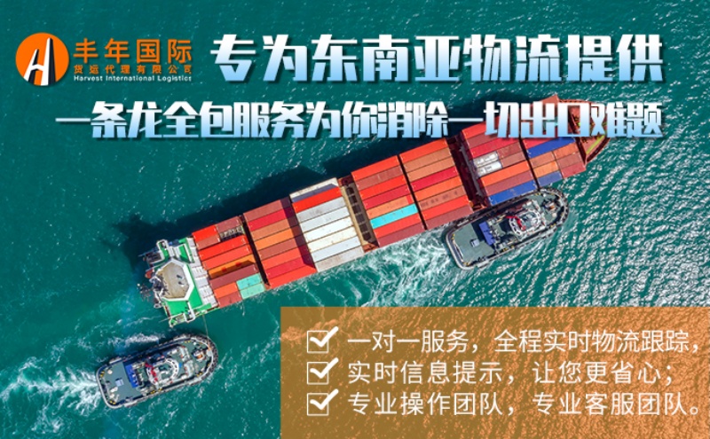 专为东南亚专线提供服务双清包税到门-丰年国际物流 专为东南亚专线提供服务双清包税到门-丰年国际物流