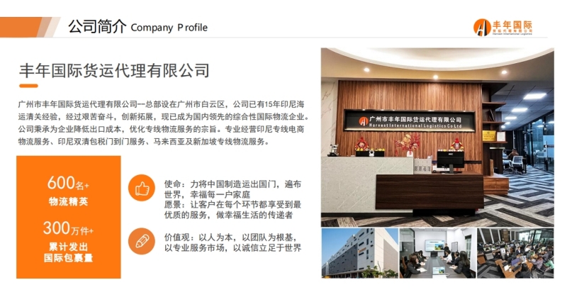 广东丰年国际物流公司简介