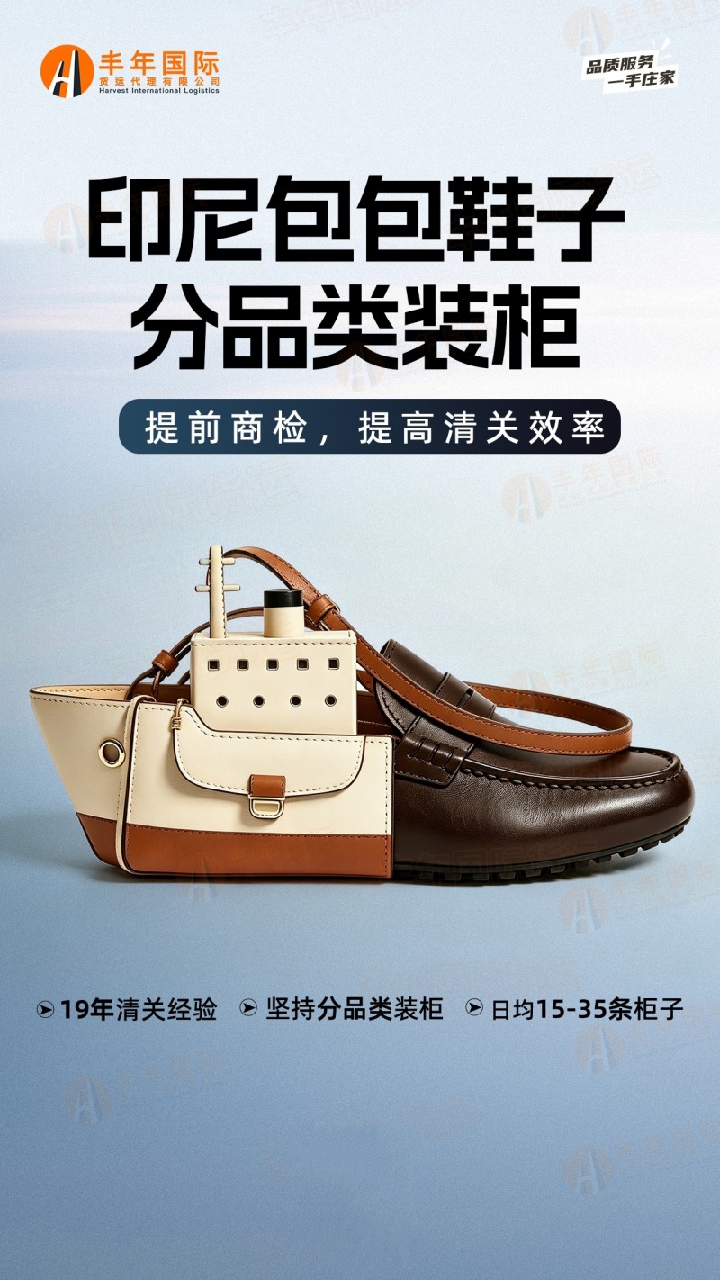 印尼包包鞋子分品类装柜海运双清包税到门专线-广东丰年国际物流